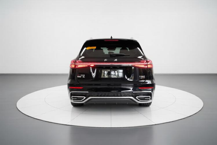 Used Hongqi HS5 2025 2.0T Two-Wheel Drive Flagship Pro Edition Rear