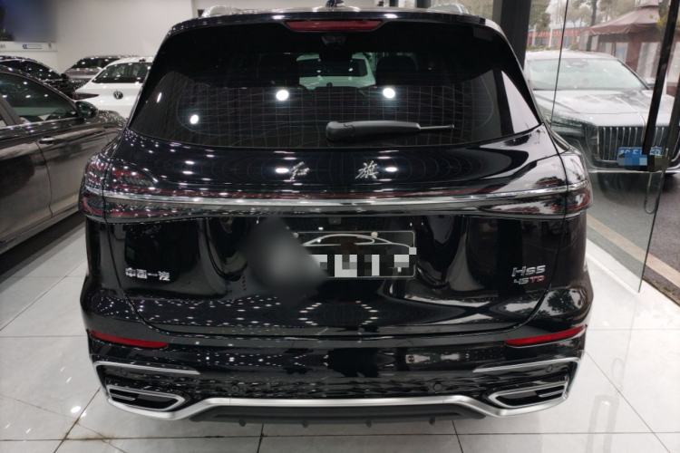 Used Hongqi HS5 2025 2.0T Two-Wheel Drive Flagship Pro Edition Rear