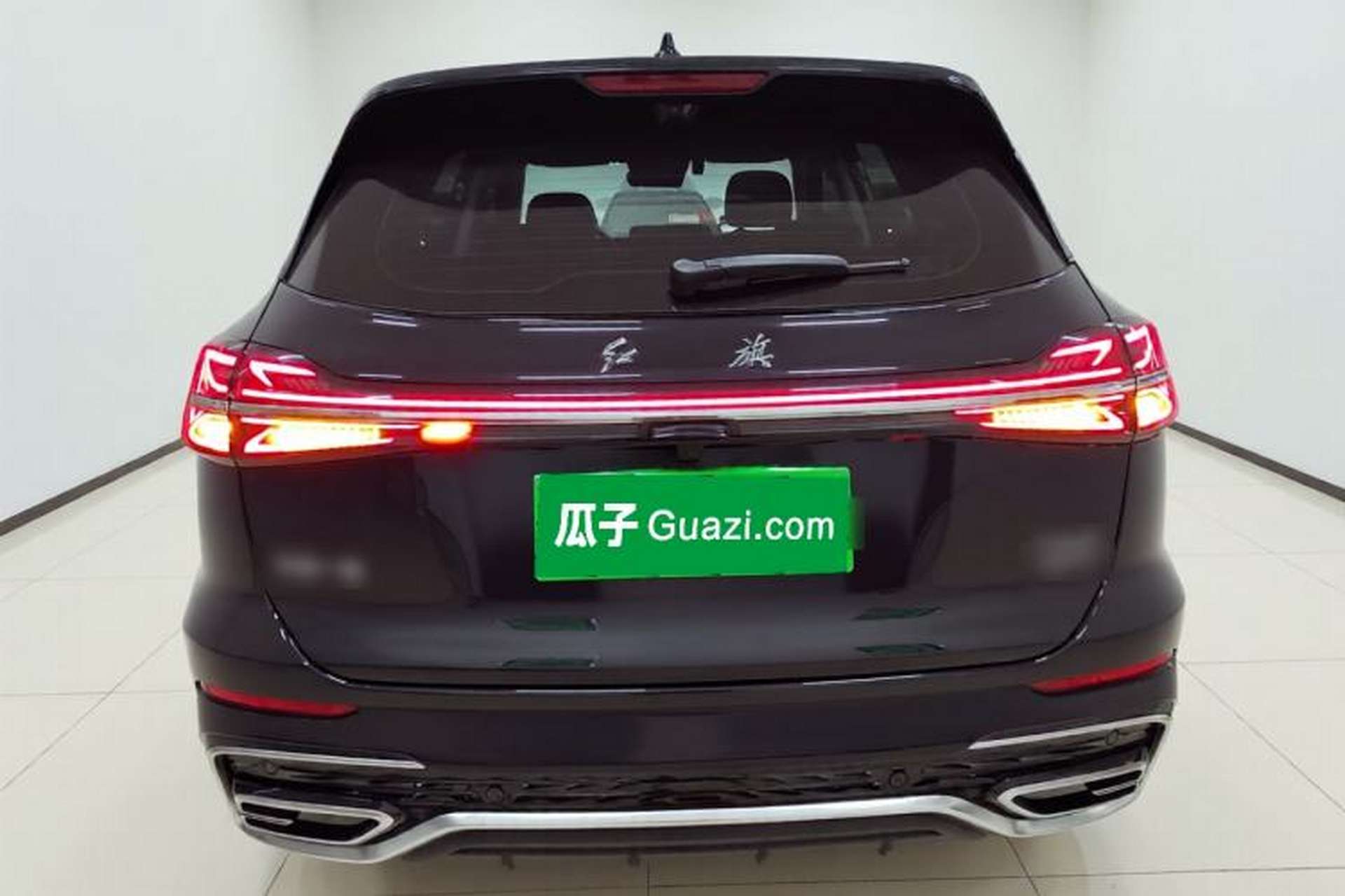 Used Hongqi HS5 2025 2.0T Two-Wheel Drive Flagship Pro Edition Rear