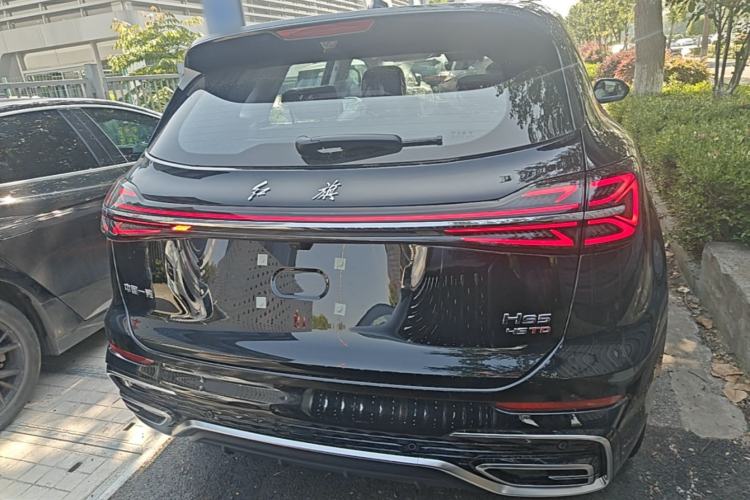 Used Hongqi HS5 2025 2.0T Two-Wheel Drive Flagship Pro Edition Rear