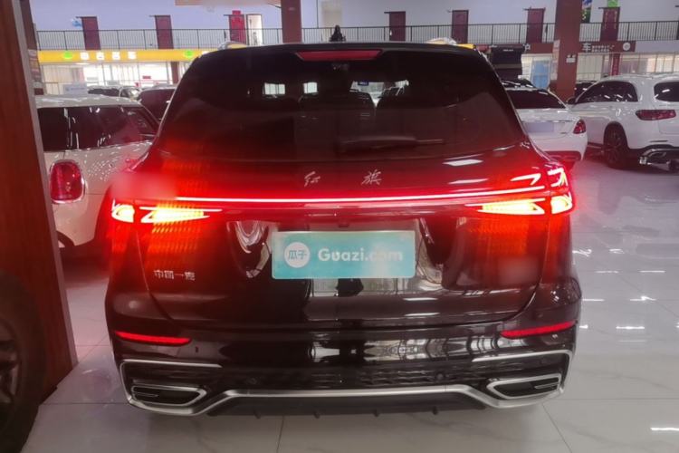 Used Hongqi HS5 2025 2.0T Two-Wheel Drive Flagship Pro Edition Rear