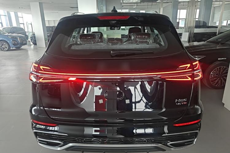 Used Hongqi HS5 2025 2.0T Two-Wheel Drive Flagship Pro Edition Rear