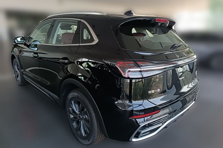 Used Hongqi HS5 2025 2.0T Two-Wheel Drive Flagship Pro Edition Rear Left 45 Deg