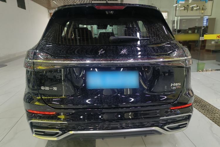 Used Hongqi HS5 2025 2.0T Two-Wheel Drive Flagship Pro Edition Rear