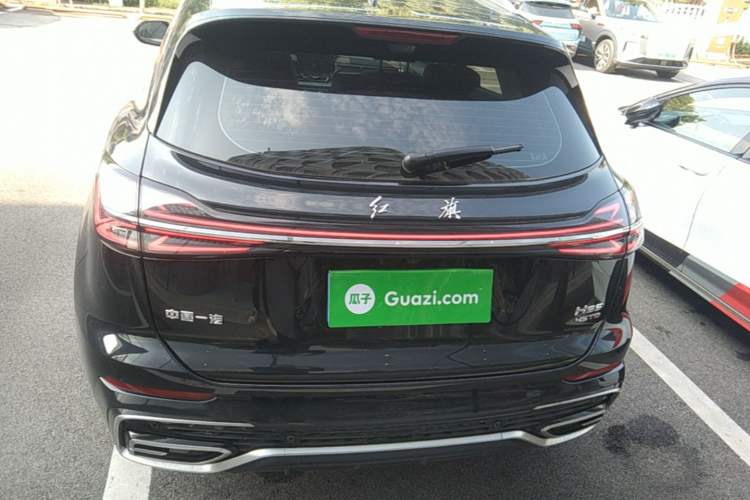 Used Hongqi HS5 2025 2.0T Two-Wheel Drive Flagship Pro Edition Rear