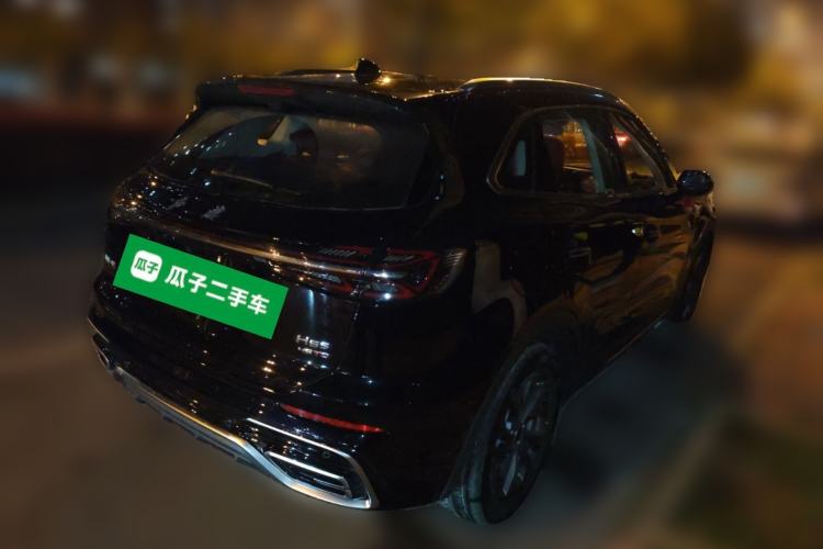 Used Hongqi HS5 2025 2.0T Two-Wheel Drive 600 000-Vehicle Commemorative Edition Rear Right 45 Deg