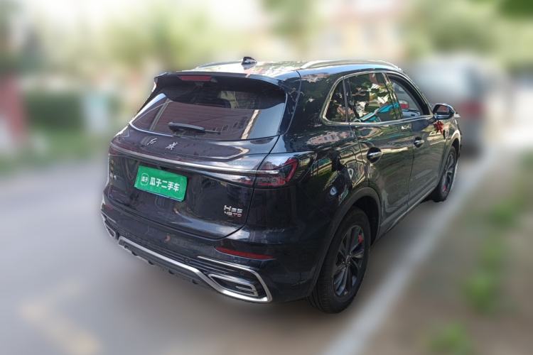 Used Hongqi HS5 2025 2.0T Two-Wheel Drive 600 000-Vehicle Commemorative Edition Rear Right 45 Deg