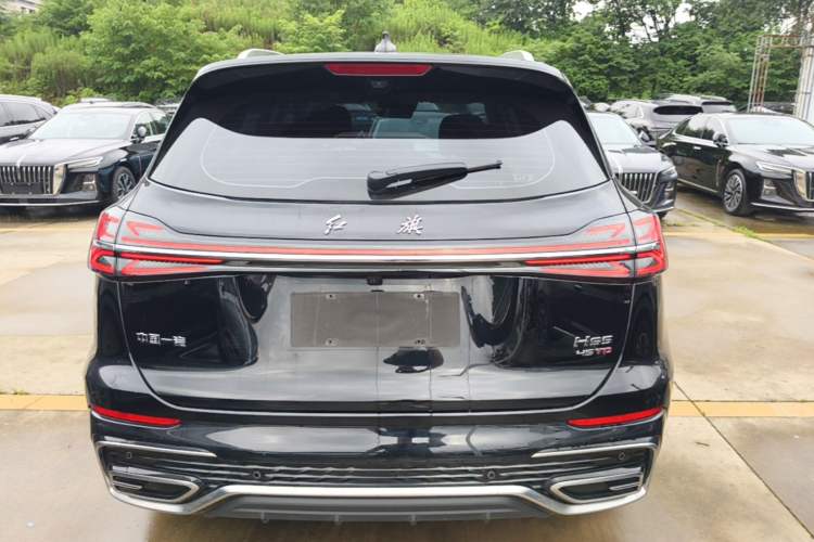 Used Hongqi HS5 2025 2.0T Two-Wheel Drive Flagship Pro Edition Rear