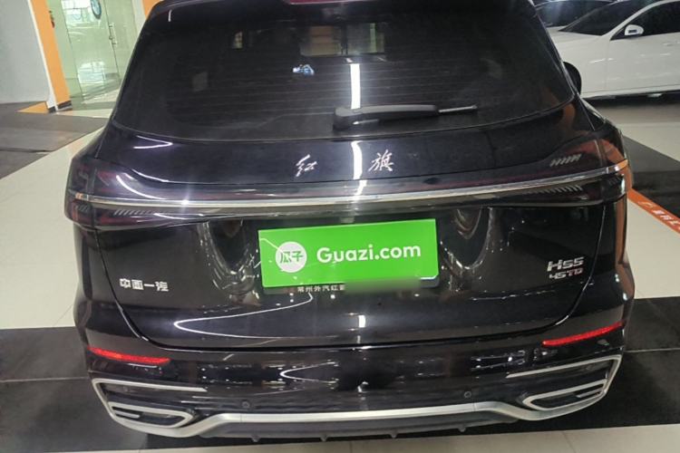 Used Hongqi HS5 2025 2.0T Two-Wheel Drive Flagship Pro Edition Rear