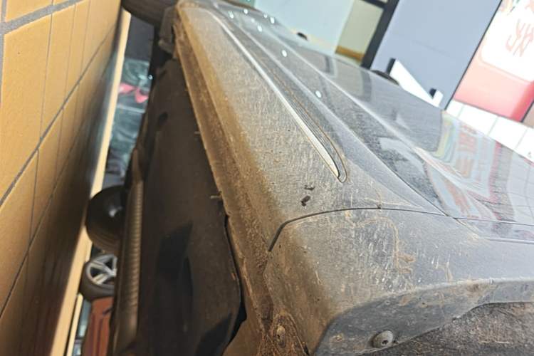 Used Hongqi HS5 2025 2.0T Two-Wheel Drive 600 000-Vehicle Commemorative Edition Right Side Sill