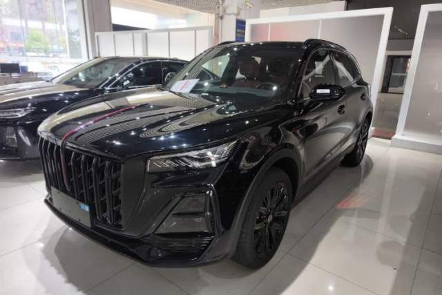 Used Hongqi HS5 2025 2.0T Two-Wheel-Drive Xuan Ying Edition