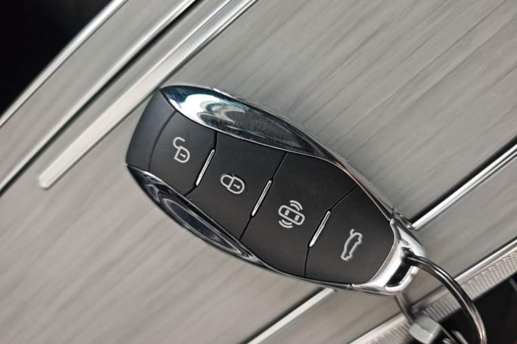 Used Hongqi HS5 2025 2.0T Two-Wheel Drive 600 000-Vehicle Commemorative Edition Vehicle Key