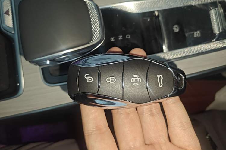 Used Hongqi HS5 2025 2.0T Two-Wheel Drive Flagship Pro Edition Vehicle Key