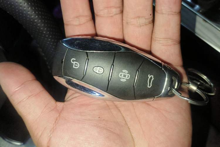 Used Hongqi HS5 2025 2.0T Two-Wheel Drive Flagship Pro Edition Vehicle Key