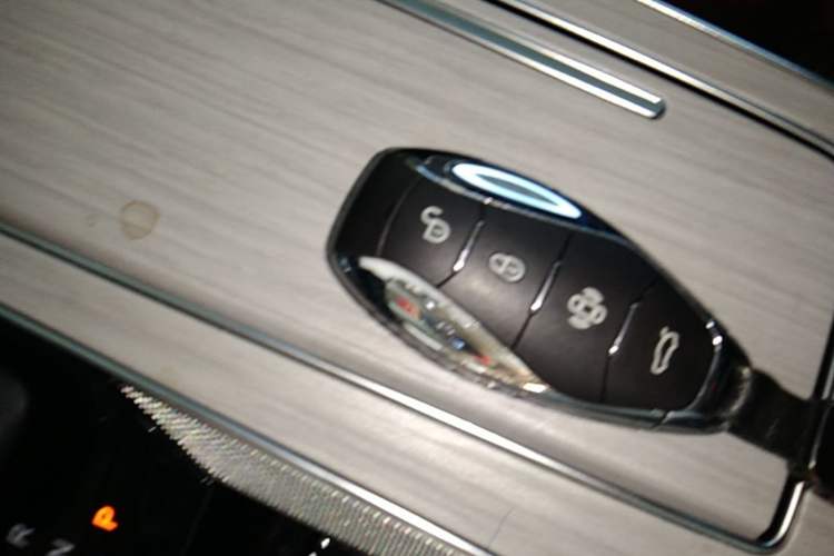 Used Hongqi HS5 2025 2.0T Two-Wheel Drive Flagship Pro Edition Vehicle Key