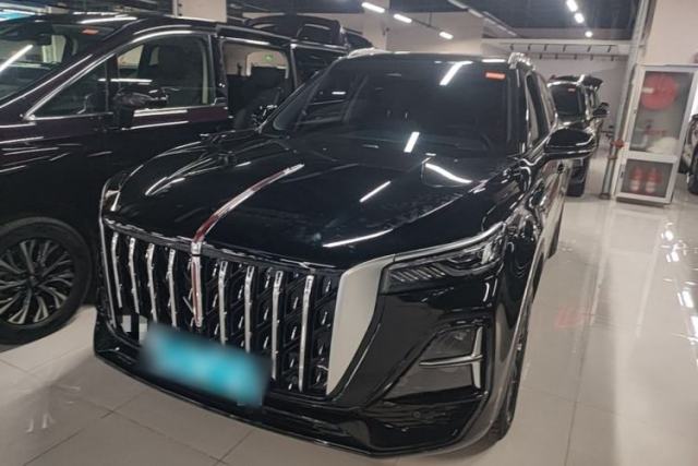 Used Hongqi HS5 2025 2.0T Two-Wheel Drive Flagship Pro Edition