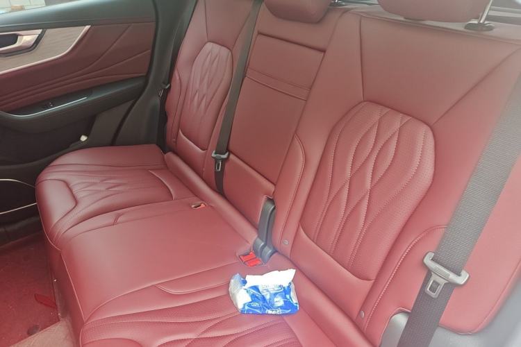 Used Hongqi HS5 2025 2.0T Two-Wheel Drive Flagship Pro Edition Left Rear Seat