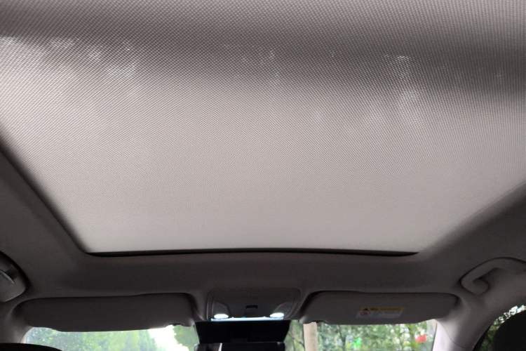Used Hongqi HS5 2025 2.0T Two-Wheel Drive Flagship Pro Edition Headliner