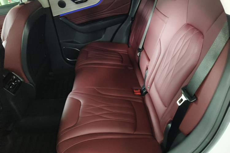 Used Hongqi HS5 2025 2.0T All-Wheel-Drive Flagship Pro Edition Left Rear Seat