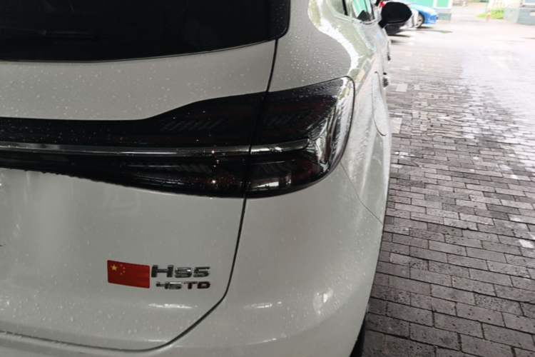 Used Hongqi HS5 2025 2.0T All-Wheel-Drive Flagship Pro Edition Right Rear Taillight