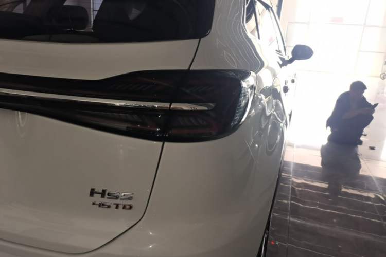 Used Hongqi HS5 2025 2.0T Four-Wheel-Drive Flagship Pro Edition Right Rear Taillight
