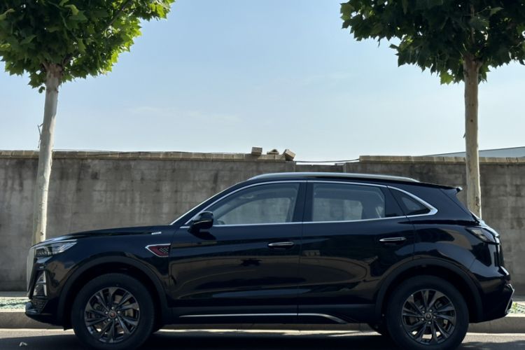 Used Hongqi HS5 2026 Model 2.0T Two-Wheel Drive Qi Xiang Pro Edition Exterior 3