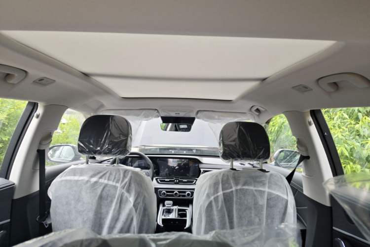 Used Hongqi HS5 2026 Model 2.0T Two-Wheel Drive Qi Xiang Pro Edition Headliner