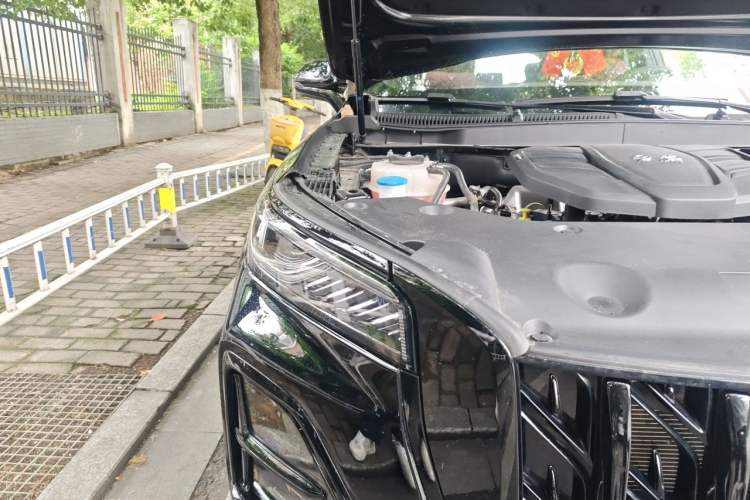 Used Hongqi HS5 2026 Model 2.0T Two-Wheel Drive Xuan Ying Edition Right Front Headlight