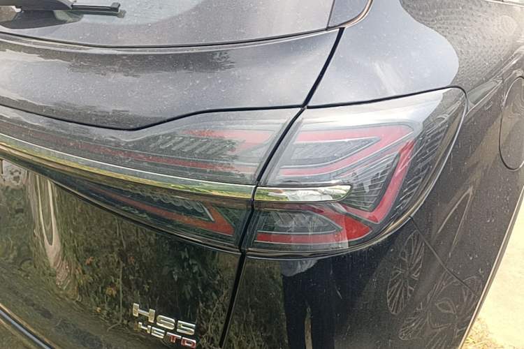 Used Hongqi HS5 2026 Model 2.0T Two-Wheel Drive Qi Xiang Pro Edition Right Rear Taillight