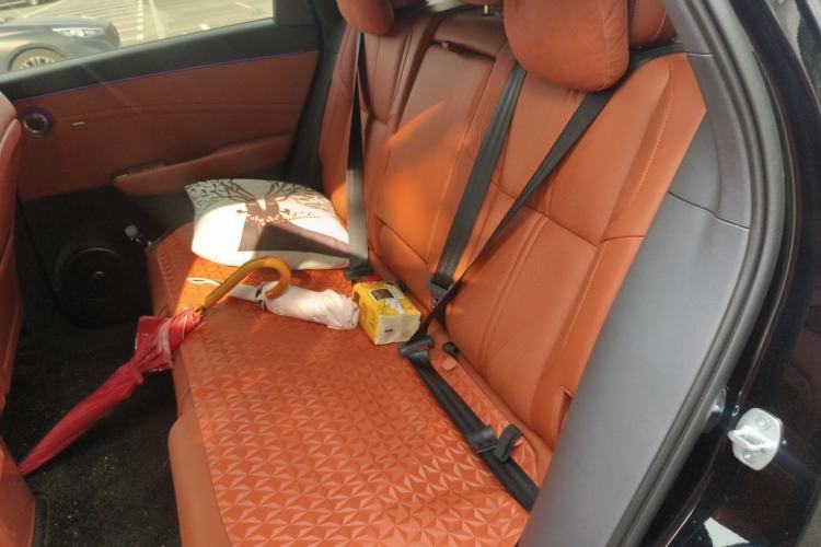 Used Hongqi HS6 PHEV 2026 220 All-Wheel Drive Smart Hybrid Version Left Rear Seat