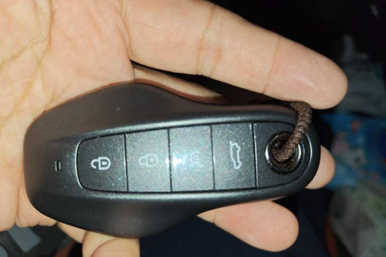 Used Hongqi HS6 PHEV 2026 220 All-Wheel Drive Smart Hybrid Version Vehicle Key