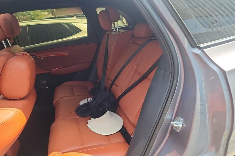Used Hongqi HS6 PHEV 2026 240 Smart Hybrid Version Left Rear Seat