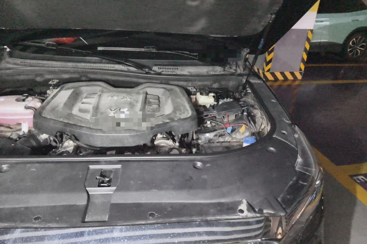Used Hongqi HS7 2019 3.0T Automatic All-Wheel Drive Smart Connect Flagship Edition Engine Bay Left