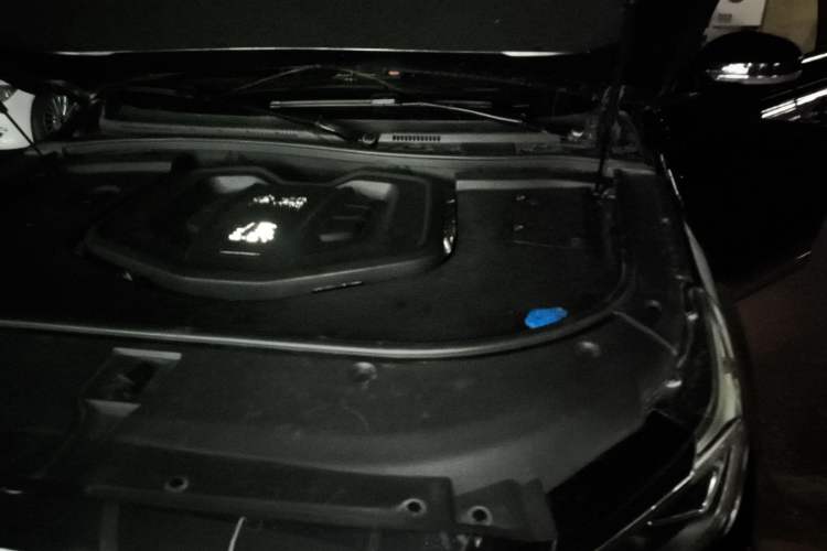 Used Hongqi HS7 2019 3.0T Automatic All-Wheel Drive Smart Connect Flagship Edition Engine Bay Left