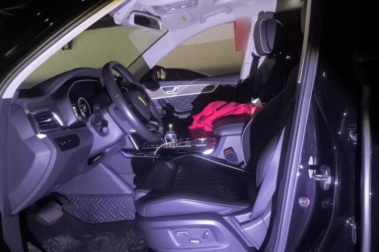 Used Hongqi HS7 2019 3.0T Automatic All-Wheel Drive Smart Connect Flagship Edition Left Front Seat