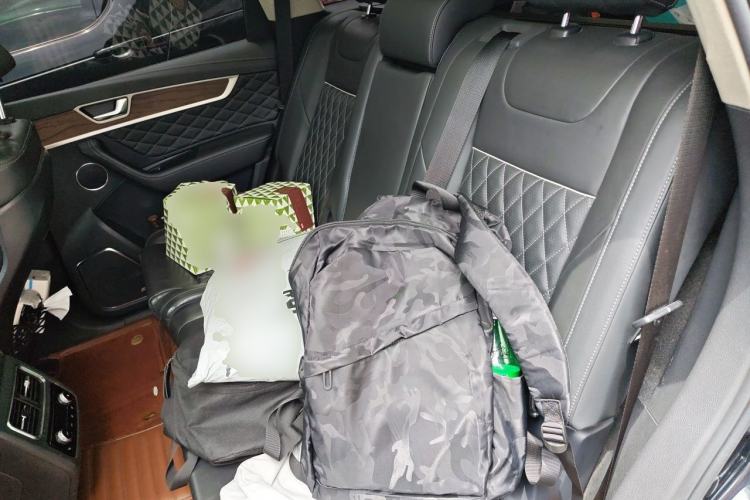 Used Hongqi HS7 2019 3.0T Automatic All-Wheel Drive Smart Connect Flagship Edition Left Rear Seat