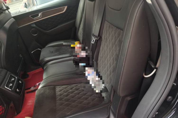 Used Hongqi HS7 2019 3.0T Automatic All-Wheel Drive Flagship Edition Left Rear Seat
