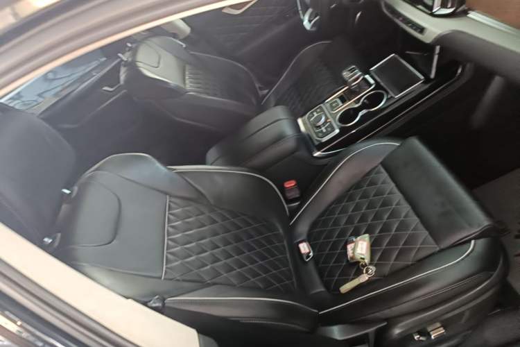Used Hongqi HS7 2019 3.0T Automatic All-Wheel Drive Smart Connect Flagship Edition Right Front Seat