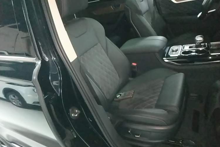 Used Hongqi HS7 2019 3.0T Automatic All-Wheel Drive Smart Connect Flagship Edition Right Front Seat
