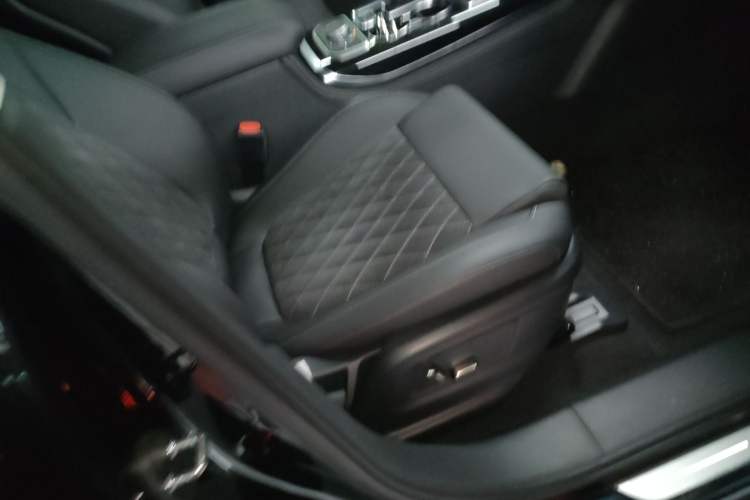 Used Hongqi HS7 2019 3.0T Automatic All-Wheel Drive Flagship Edition Right Front Seat