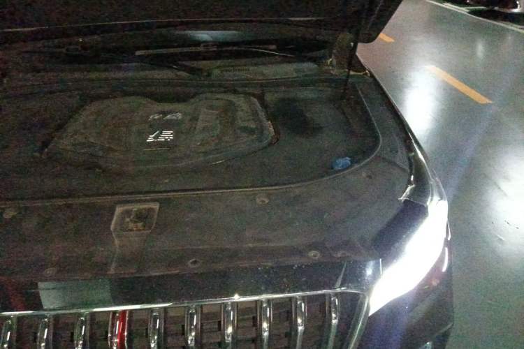 Used Hongqi HS7 2019 3.0T Automatic All-Wheel Drive Smart Connect Flagship Edition Engine Bay Left