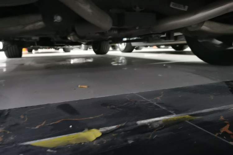 Used Hongqi HS7 2021 2.0T DCT Two-Wheel Drive Smart Connect Flagship Edition Chassis Rear Left