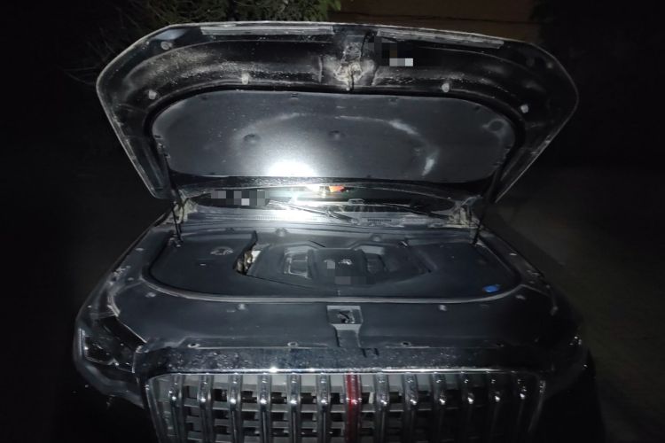 Used Hongqi HS7 2021 2.0T DCT Two-Wheel Drive Smart Connect Flagship Edition Engine Bay