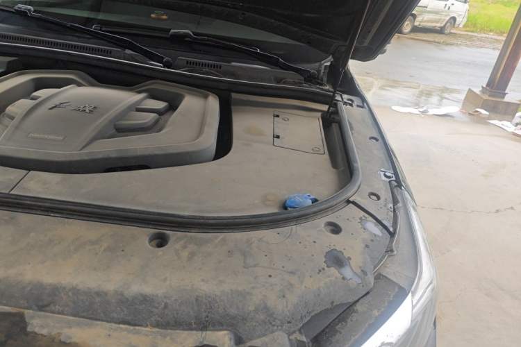 Used Hongqi HS7 2021 2.0T DCT Two-Wheel Drive Smart Connect Flagship Edition Engine Bay Left