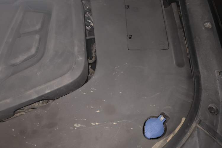 Used Hongqi HS7 2021 2.0T DCT Two-Wheel Drive Smart Connect Flagship Edition Engine Bay Left