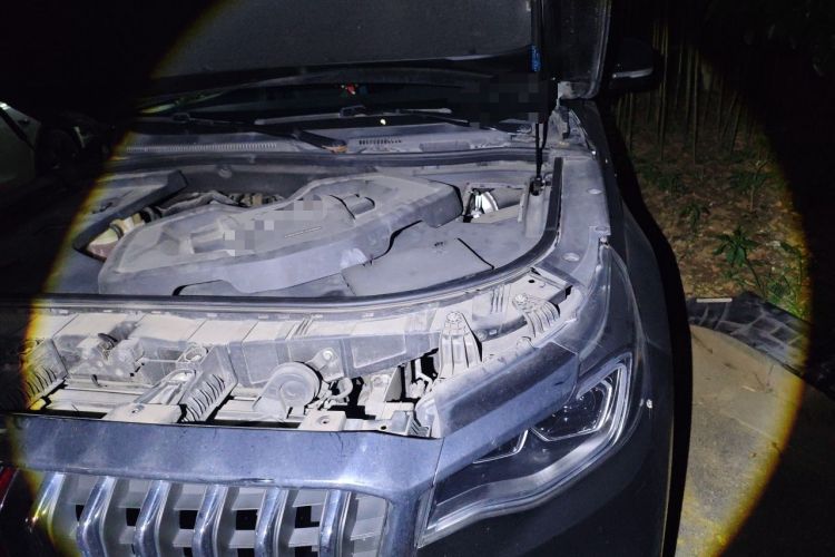 Used Hongqi HS7 2021 2.0T DCT Two-Wheel Drive Smart Connect Flagship Edition Engine Bay Left