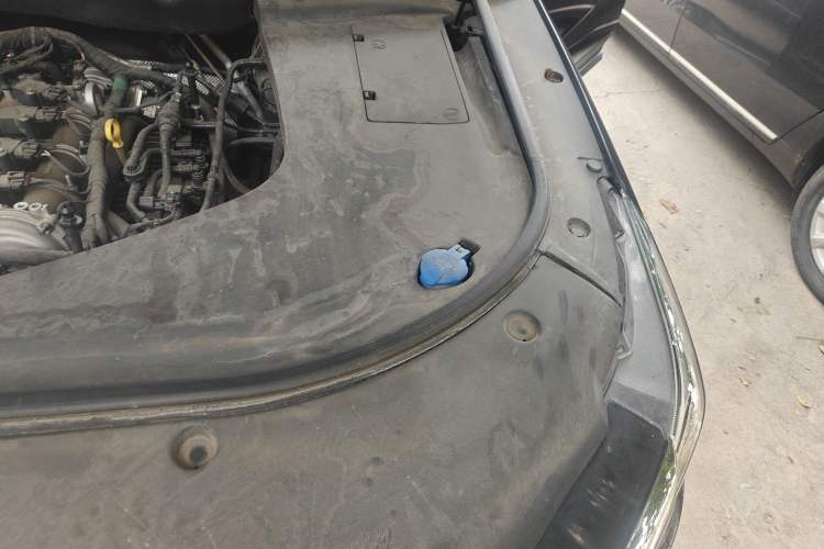 Used Hongqi HS7 2021 2.0T DCT Two-Wheel Drive Smart Connect Flagship Edition Engine Bay Left