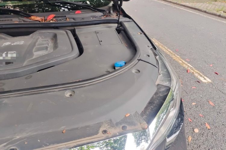 Used Hongqi HS7 2021 3.0T Automatic All-Wheel Drive Smart Connect Flagship Edition Engine Bay Left