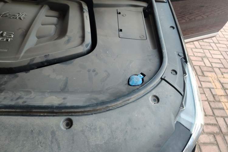 Used Hongqi HS7 2021 3.0T Automatic All-Wheel Drive Smart Connect Flagship Edition Engine Bay Left
