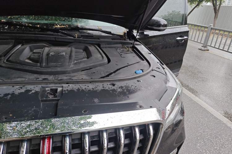 Used Hongqi HS7 2021 2.0T DCT Two-Wheel Drive Smart Connect Flagship Edition Engine Bay Left